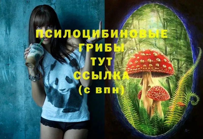 Галлюциногенные грибы MAGIC MUSHROOMS  Копейск 