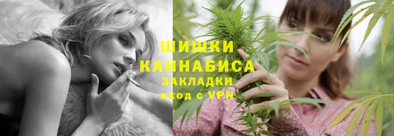 Бошки марихуана Amnesia  закладка  MEGA как зайти  Копейск 